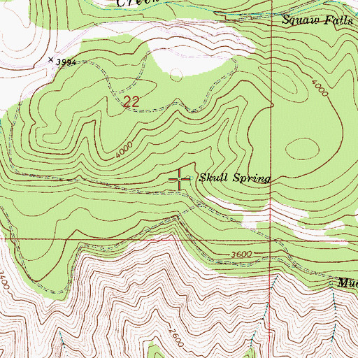 Topographic Map of Skull Spring, OR