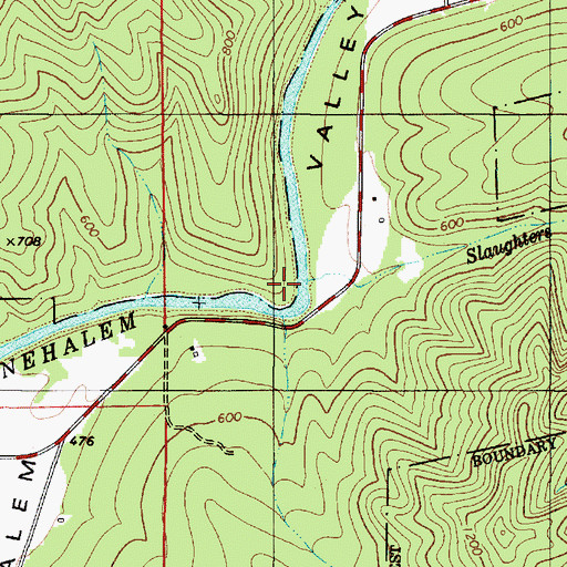 Topographic Map of Slaughters Creek, OR
