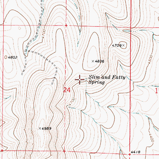 Topographic Map of Slim and Fatty Spring, OR