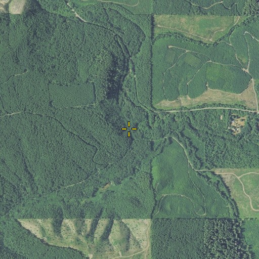 Aerial/Satellite Image of Smith Creek, OR