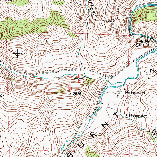 Topographic Map of Snowshoe Gulch, OR