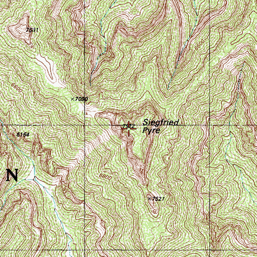 Topographic Map of Siegfried Pyre, AZ