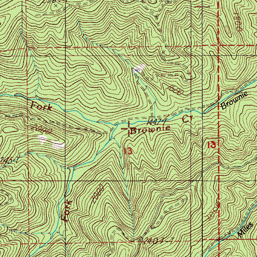 Topographic Map of South Fork Brownie Creek, OR