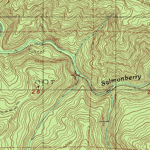 Topographic Map of South Fork Salmonberry River, OR