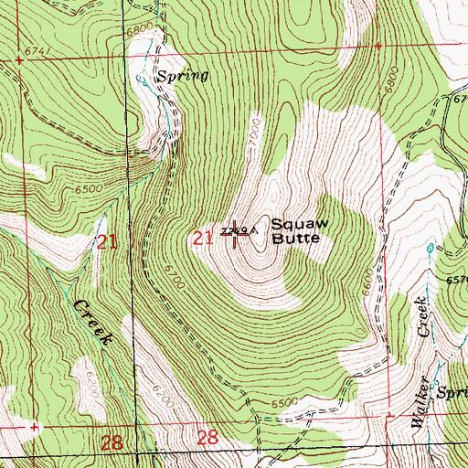 Topographic Map of Squaw Butte, OR