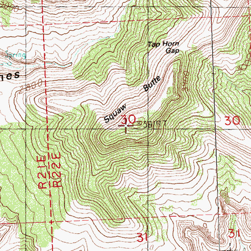 Topographic Map of Squaw Butte, OR