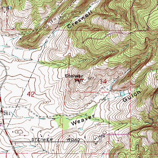 Topographic Map of Steiwer Hill, OR