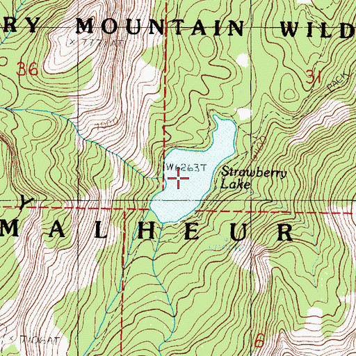 Topographic Map of Strawberry Lake, OR