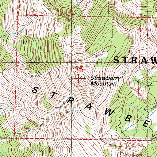 Topographic Map of Strawberry Mountain, OR