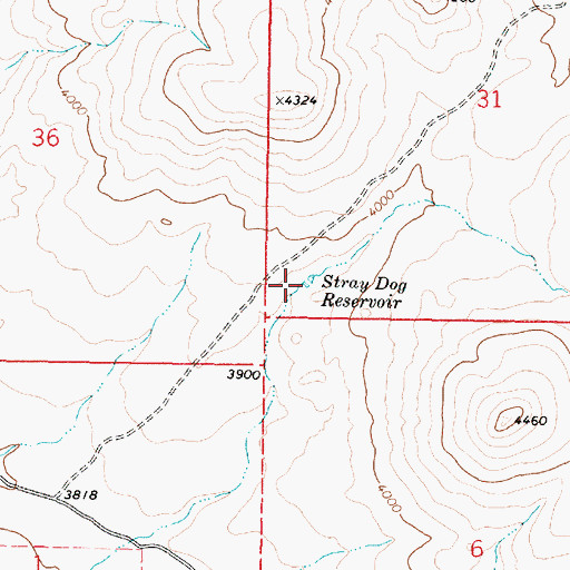 Topographic Map of Stray Dog Reservoir, OR