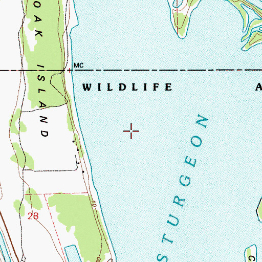 Topographic Map of Sturgeon Lake, OR