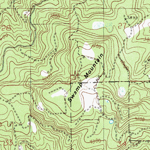 Topographic Map of Swamp Mountain, OR