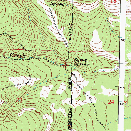 Topographic Map of Syrup Spring, OR