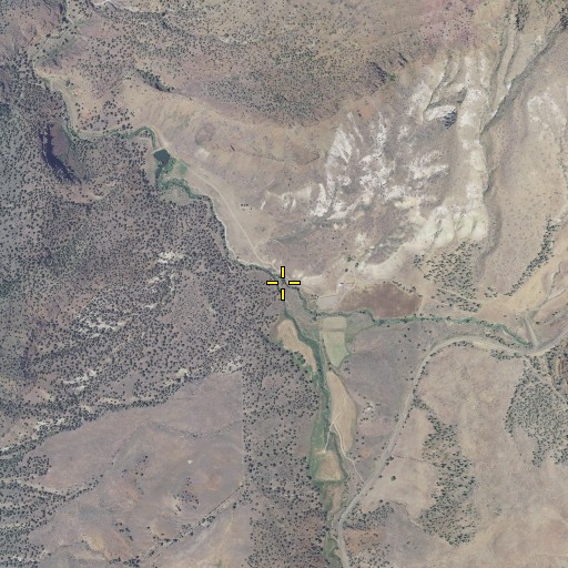 Aerial/Satellite Image of Tamarack Creek, OR
