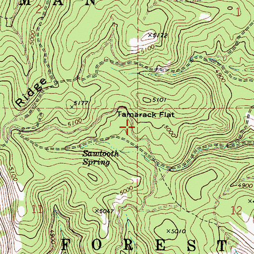 Topographic Map of Tamarack Flat, OR