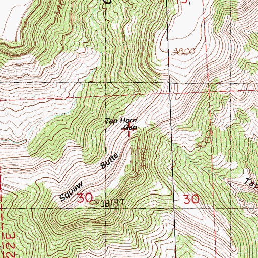 Topographic Map of Tap Horn Gap, OR