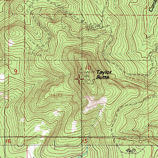 Topographic Map of Taylor Butte, OR