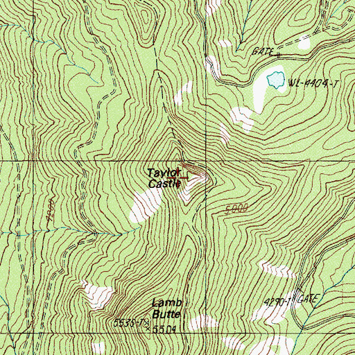 Topographic Map of Taylor Castle, OR