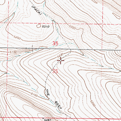 Topographic Map of The Beef Trail, OR