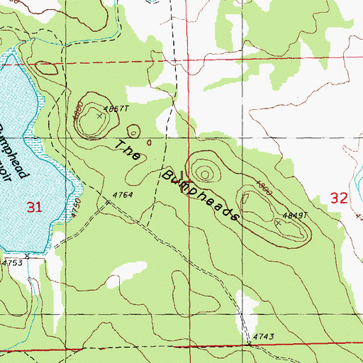Topographic Map of The Bumpheads, OR