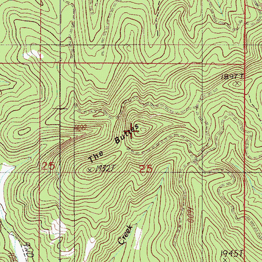 Topographic Map of The Buttes, OR