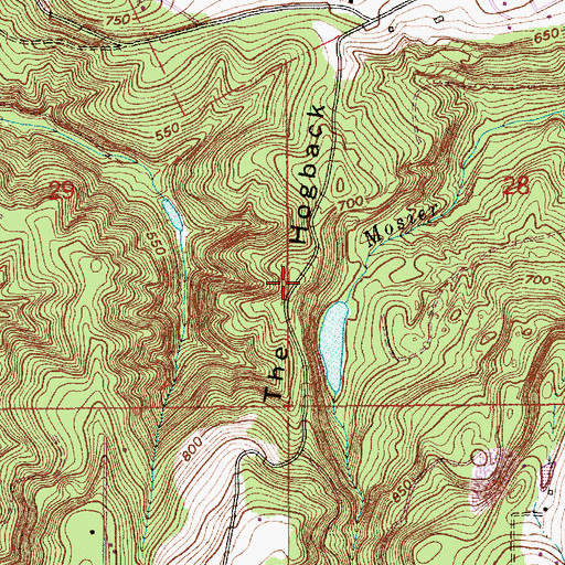 Topographic Map of The Hogback, OR