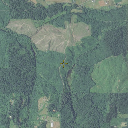 Aerial/Satellite Image of The Hogback, OR