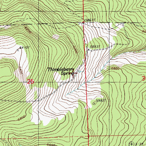 Topographic Map of Thimbleberry Spring, OR