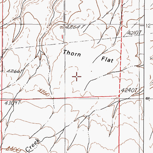 Topographic Map of Thorn Flat, OR