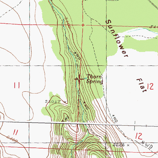 Topographic Map of Thorn Spring, OR