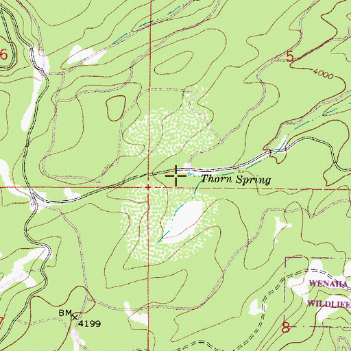 Topographic Map of Thorn Spring, OR