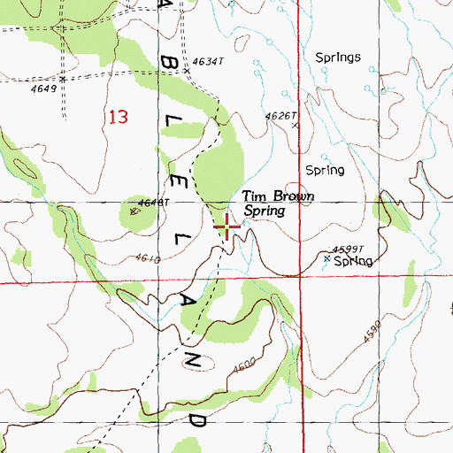 Topographic Map of Tim Brown Spring, OR