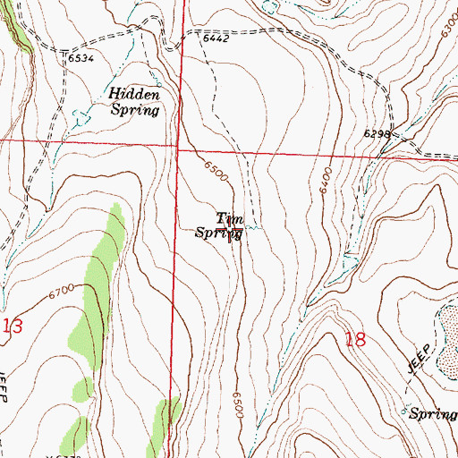 Topographic Map of Tim Spring, OR