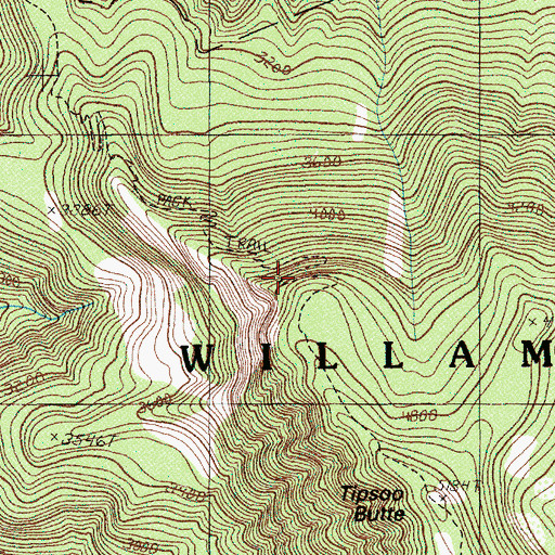 Topographic Map of Tipsoo Trail, OR