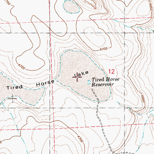Topographic Map of Tired Horse Reservoir, OR