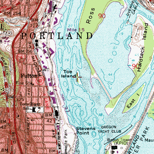 Topographic Map of Toe Island, OR