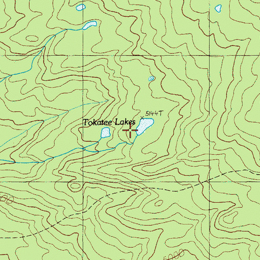 Topographic Map of Tokatee Lakes, OR