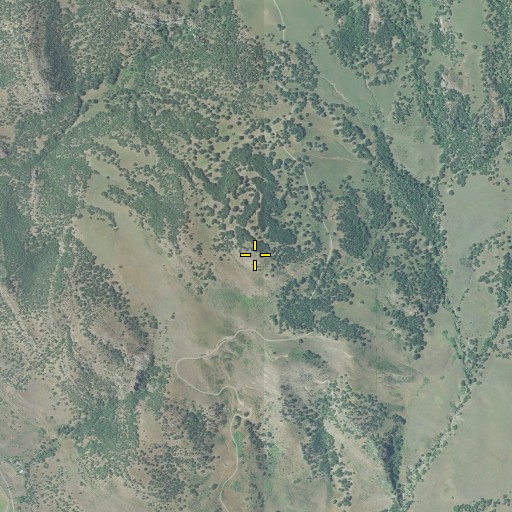 Aerial/Satellite Image of Tombstone, OR
