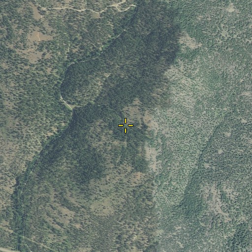 Aerial/Satellite Image of Tope Spring, OR