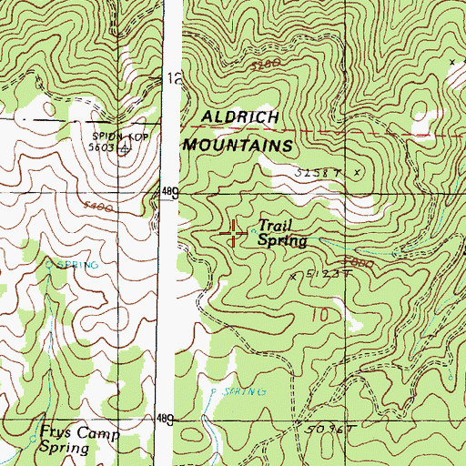 Topographic Map of Trail Spring, OR