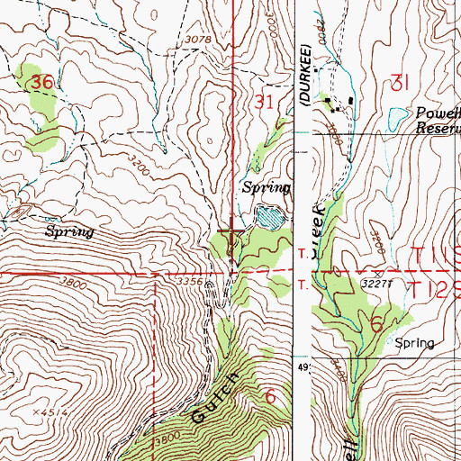 Topographic Map of True Blue Gulch, OR