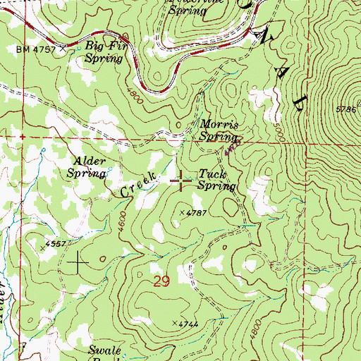Topographic Map of Tuck Spring, OR