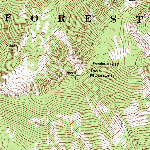 Topographic Map of Twin Mountain, OR