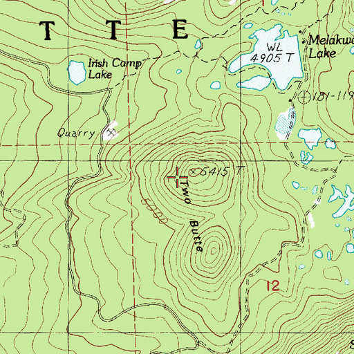 Topographic Map of Two Butte, OR