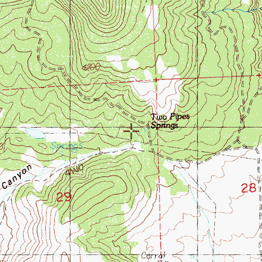 Topographic Map of Two Pipes Springs, OR