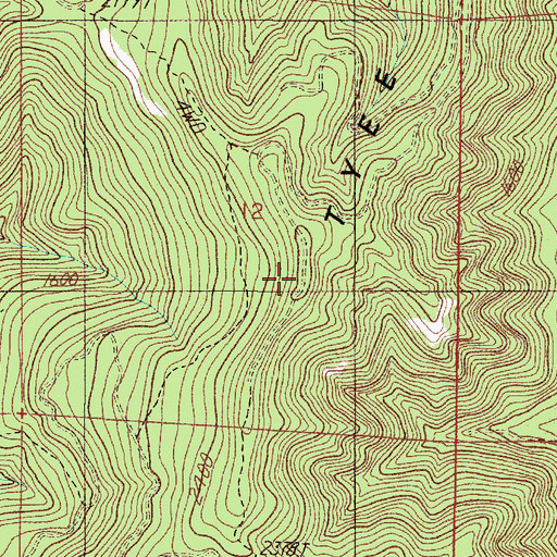Topographic Map of Tyee Mountain, OR