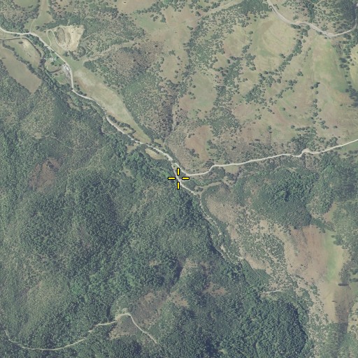 Aerial/Satellite Image of Tyler Creek, OR