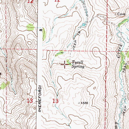 Topographic Map of Tyrell Spring, OR