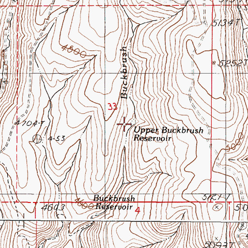 Topographic Map of Upper Buckbrush Reservoir, OR