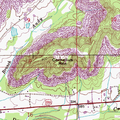 Topographic Map of Cornelius Mountain, AL